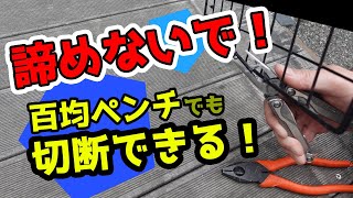 【社長の雑学】太いワイヤーをペンチで簡単に切る方法 。安いペンチでも切ることはできる！アウトドア、DIY [upl. by Leikeze]