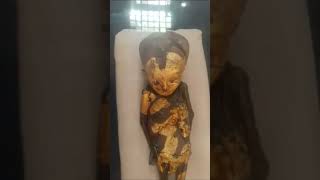 mummy museum  The Strangest Mummy in the Egyptian Museum A Mystery That Has Baffled Scientists [upl. by Kaya299]