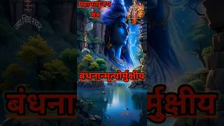 महामृत्युंजय मंत्र Mahamrityunjaya Mantra Powerful Shiv Mantra mahadev​ mahadevstatus​ nathji [upl. by Hathcock]