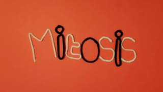 Mitosis stop motion [upl. by Ennoirb]