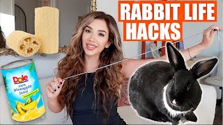 8 Life Saving Rabbit Hacks You NEED to Know [upl. by Ayhtak]