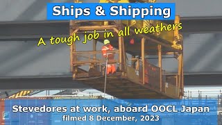 A Tough Job in All Weathers Stevedores at work aboard OOCL Japan 8 December 2023 [upl. by Erait]