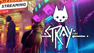 Stray Playthrough  Part Two [upl. by Anilrats]