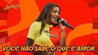 LUDMILLA  Você Não Sabe o Que É Amor  Numanice 3 [upl. by Vacuva]