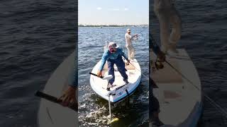 Cobia fishing in the Peace River of Punta Gorda [upl. by Ulises798]