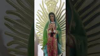 Quinto día de nuestro docenario la virgen de Guadalupe [upl. by Pinebrook977]