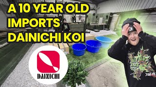 A 10 YEAR OLD IMPORTS DAINICHI KOI [upl. by Nnylirej]