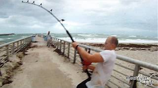 Extreme Saltwater Fishing [upl. by Yerroc]