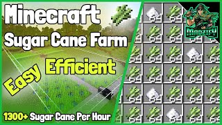 EASY amp EFFICIENT Sugar Cane Farm Tutorial Minecraft 1165 1300 Sugar Cane PH [upl. by Eevets29]