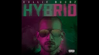 Collie Buddz  Hybrid Full Album [upl. by Retsim]