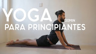 Yoga para principiantes  20 min  Yoga con Baruc [upl. by Merola]