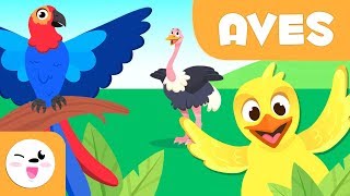 Las Aves para niños  Animales vertebrados  Ciencias naturales para niños [upl. by Ycul]