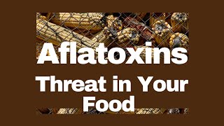 Aflatoxins The Invisible Threat in Your Food [upl. by Prosperus]