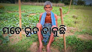 ମତେ ଭୂତ ଡାକୁଛି l Gouranga Nayak Odia Vlogs [upl. by Hartfield]