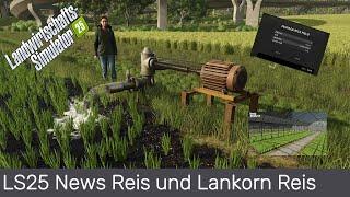 LS25 News Reis und Lankorn Reis [upl. by Laraine]