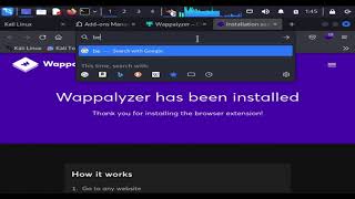 Uso de la extensión Wappalyzer [upl. by Otxis]