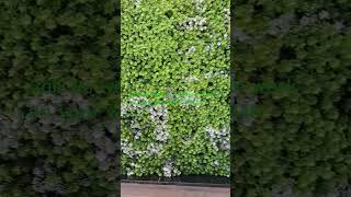 Vertical Garden wall panel design idea 2024 [upl. by Chaiken]