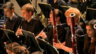 Beethoven  Symphony No 9 in D minor Op 125  Petrenko [upl. by Aiuqal]