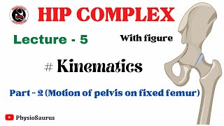 Hip complex  Kinematics  Motion of pelvis on fixed femur  With diagram [upl. by Laemaj]