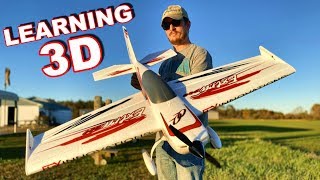 Wow Easy To Fly 3D Electric RC Plane Extra 300 Maiden Flight  TheRcSaylors [upl. by Luann574]