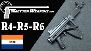 South African Galils The R4 R5 R6 and LM Series [upl. by Kallman]