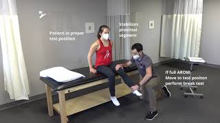 Introduction to Manual Muscle Testing [upl. by Anertac184]