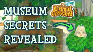 The Secrets of the Museum in Animal Crossing New Horizons [upl. by Ahrat113]