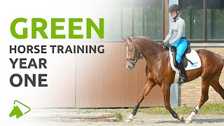 How to Train a Young Horse  First Year if Basic Training with Ingrid Klimke  wehorse [upl. by Malley]