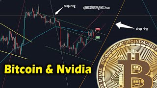 Ring Theory for Bitcoin and Nvidia [upl. by Olegnaleahcim]