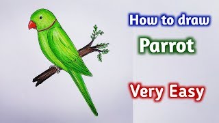 how to draw parrot easy step by stepGali Gali Art [upl. by Aronoff]