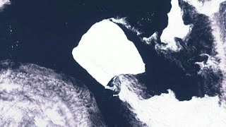 Worlds largest iceberg off Antarctica stuck since 1986 breaks free [upl. by Nereen]