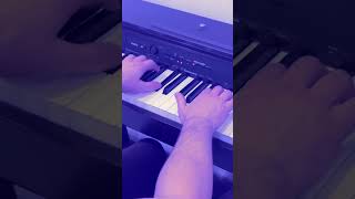 Rammstein  Seemann Piano Cover rammstein music pianocover [upl. by Anaillil]