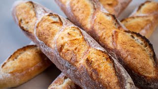 How Baguettes are Made Using the Poolish Method to Produce Incredible Texture and Structure [upl. by Ahsiel]