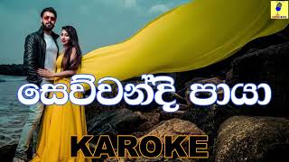 Sewwandi Paya  Bathiya and Santhush Karaoke Without Voice [upl. by Eednus]