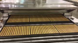 Multibake® D Direct Fired Tunnel Oven by AMF Den Boer [upl. by Ydualc]