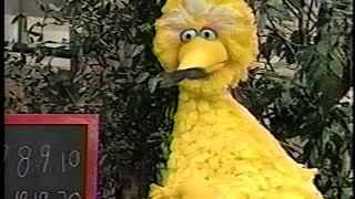 Sesame Street  Big Bird The Teacher [upl. by Nilreb989]