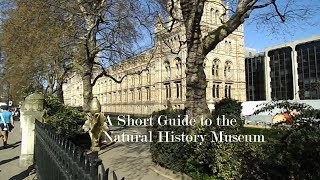 A Short Guide to the Natural History Museum in London [upl. by Truelove]