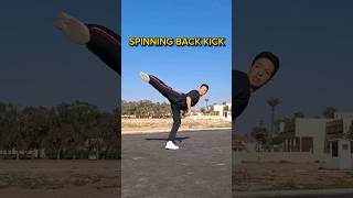 Spinning back kick Step by Step [upl. by Ursulina]