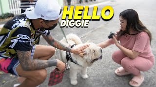 HELLO DIGGIE [upl. by Crudden]