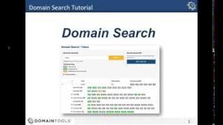 Domain Search User Guide [upl. by Artaed]