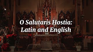 O Salutaris Hostia Latin and English Lyrics [upl. by Aicxela]