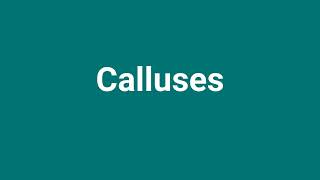 Calluses Meaning and Pronunciation [upl. by Conlon]