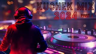 Kuchek Mix 2024 Part I  DJ PICASSO [upl. by Danielson]