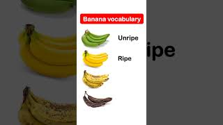 Ripeness Stages Banana vocabulary english learnenglish vocabulary short [upl. by Neelyhtak]