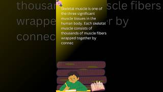 Skeletal muscle tissue skeletal muscle diagram skeletalmuscle muscle shorts youtubeshorts [upl. by Celestina]