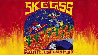 Skegss  Brain on the Highway Official Audio [upl. by Gnehp]