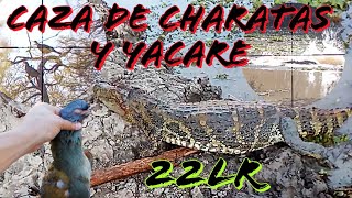 Caza De Charatas y Yacare Caiman🐊 [upl. by Tryck]