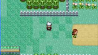 How to find Articuno in Pokemon Emerald [upl. by Sharai239]