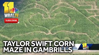 Taylor Swiftthemed corn maze to open in Gambrills [upl. by Retep]