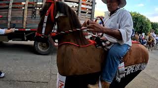 cabalgata 2024 Octubre [upl. by Anerda]